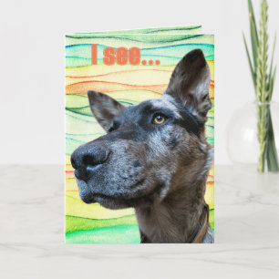 Lustiger Rinderhund-Kopf-Foto Farbhintergrund Karte