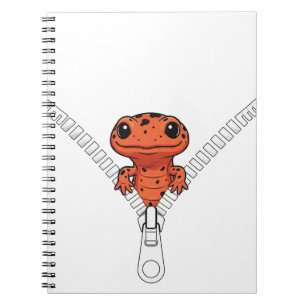 Lustiger Salamander Blick Notizblock