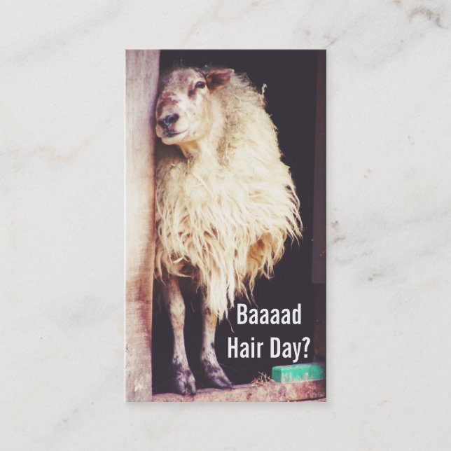 lustiger Schafe Hairstylisthaar-Stylist Terminkarte (Vorderseite)