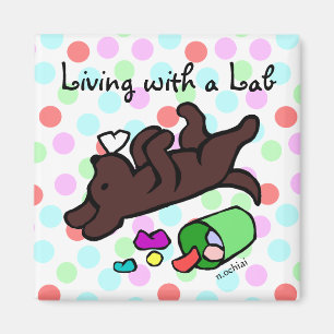 Lustiger Schokoladen-Labrador-Cartoon-Polka-Punkt Magnet