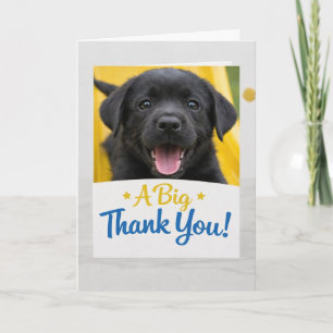 Lustiger schwarzer Labradormischling Dankeschön-Ka Dankeskarte