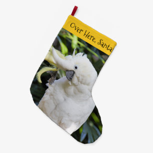 Lustiger schwefelgelber Kakadu Papagei Vogel winkt Großer Weihnachtsstrumpf
