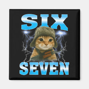 Lustiger Spruch 67 Katzen Bauchweh Überlebender Ka Magnet