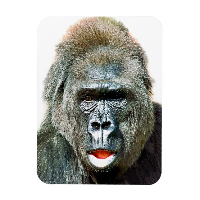 LUSTIGER SÜßER GORILLA MAGNET (Vertikal)