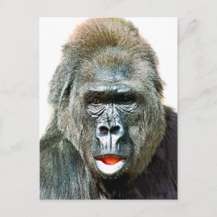 LUSTIGER SÜßER GORILLA POSTKARTE