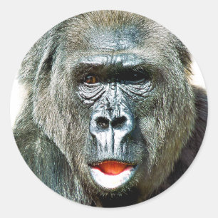 LUSTIGER SÜßER GORILLA RUNDER AUFKLEBER