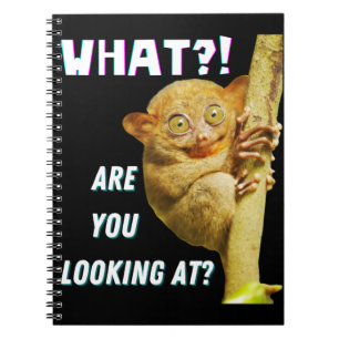 Lustiger Tarsier mit großen Augen, was siehst du? Notizblock