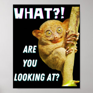 Lustiger Tarsier mit großen Augen, was siehst du? Poster