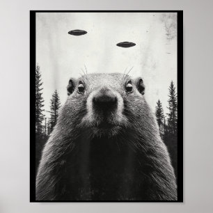 Lustiger Ufo Alien entführt Groundhog Süßer Waldmu Poster