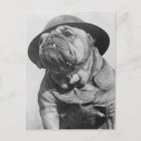Lustiger Vintage-Hund mit militärischem Helm