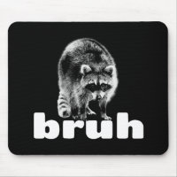 Lustiger Waschbär Bruh