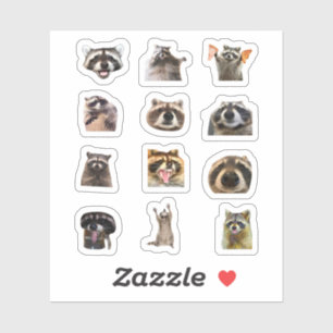 Lustiger Waschbär-Meme-Aufkleber-Set-Bundle Aufkleber