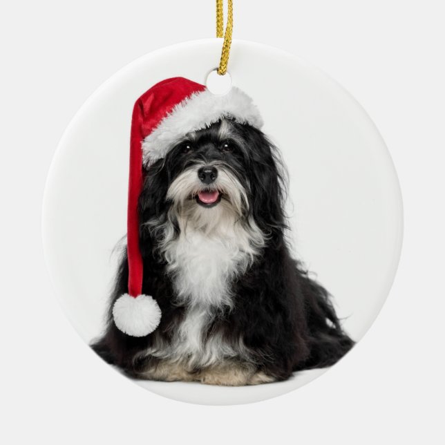 Lustiger WeihnachtenHavanese Hund mit Keramikornament (Vorne)