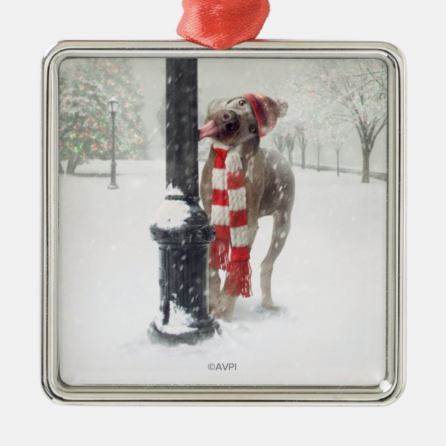 Lustiger Weihnachtshund leckt Polen Silbernes Ornament (Vorne)