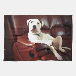 lustiger weißer Grubenbull-Hund auf dem Sofa Geschirrtuch