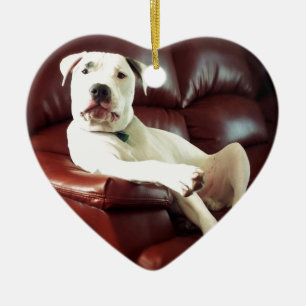 lustiger weißer Grubenbull-Hund auf dem Sofa Keramik Ornament