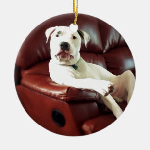 lustiger weißer Pitbull-Hund auf dem Sofa Keramik Ornament