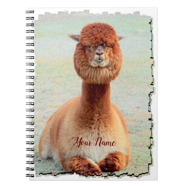 Lustiges Alpaka-Foto-Notizbuch Notizblock (Vorderseite)