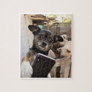 Lustiges Chihuahua-Bauernhof-Hund-Jigsaw-Puzzle