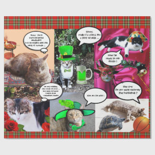 LUSTIGES COMIC STREIFT /WEIRD ab, das KATZEN, Geschenkpapier