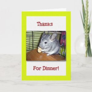 Lustiges Danke fürs Abendessen mit Chinchilla-Esse