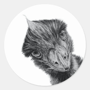 Lustiges Emu-Gesicht-Sticker   Schwarz-Weiß-Vogelk Runder Aufkleber