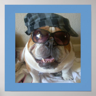 Lustiges englisches Bulldoggen-Plakat Poster
