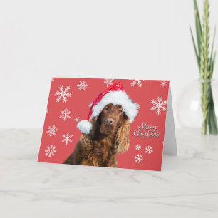 Lustiges Frohe Weihnachten Hund in Santas Hut Urla Karte