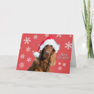 Lustiges Frohe Weihnachten Hund in Santas Hut Urla Karte