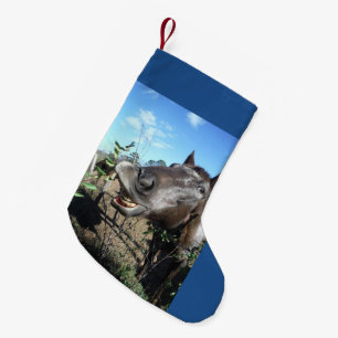 Lustiges Gesicht Weihnachts Pferd Kleiner Weihnachtsstrumpf