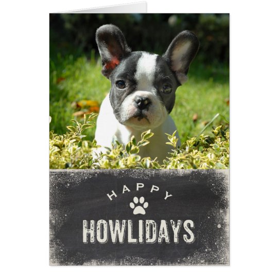Lustiges glückliches Howlidays HundeweihnachtsFoto Karte