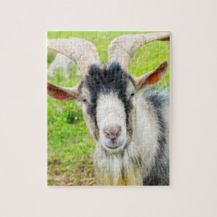 Lustiges GOAT 2027 Neujahrsfoto
