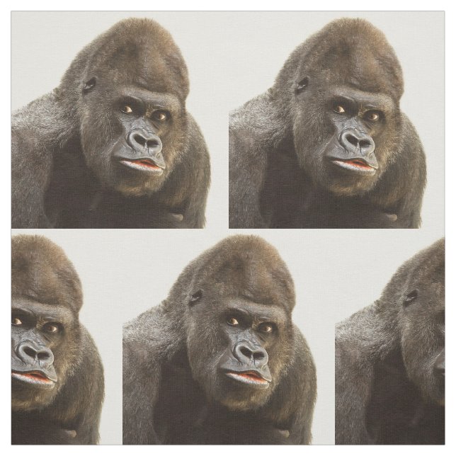 Lustiges Gorillagewebe Stoff (Muster)