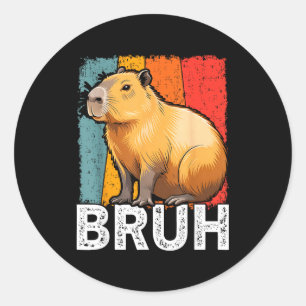 Lustiges Grafik-Meme Capybara bruh für Jungen Mädc Runder Aufkleber