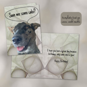Lustiges Grau-Brindel-Rinderhund-Foto Karte