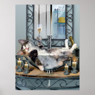 Lustiges Haustier-Plakat-Tipsy Miezekatze Poster