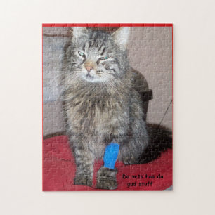 Lustiges heilkräftiges Katze meme oder Ihr Bild