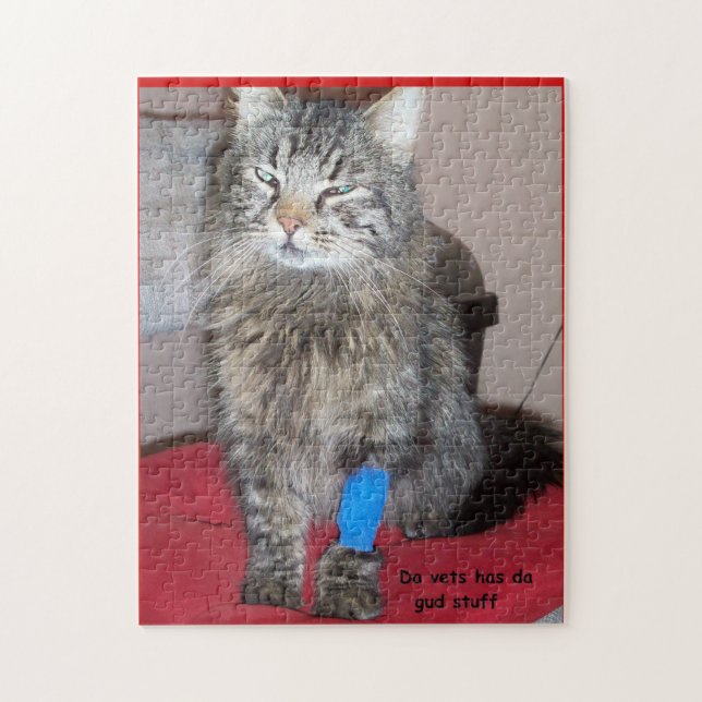 Lustiges heilkräftiges Katze meme oder Ihr Bild (Vertikal)