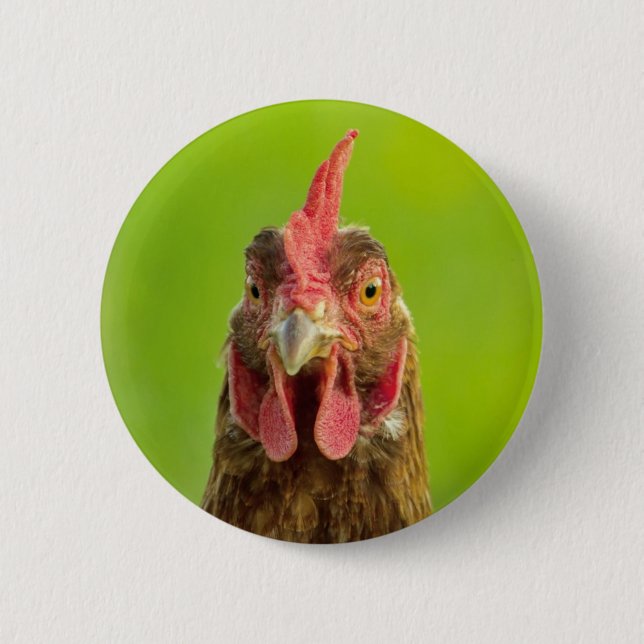 Lustiges Huhn - Knopf Button (Vorderseite)