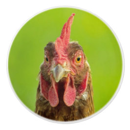 Lustiges Huhn-Porträt auf einem grünen Hintergrund Keramikknauf