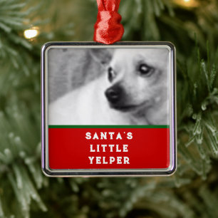 Lustiges Hunde-Foto Weihnachten Silbernes Ornament