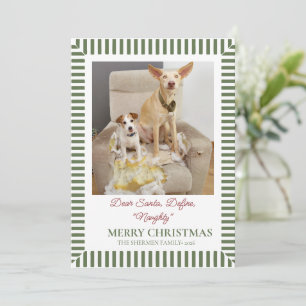 Lustiges Hunde-Weihnachtsfoto  Feiertagskarte