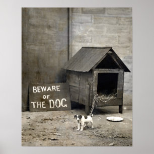 Lustiges Hundeplakat Poster