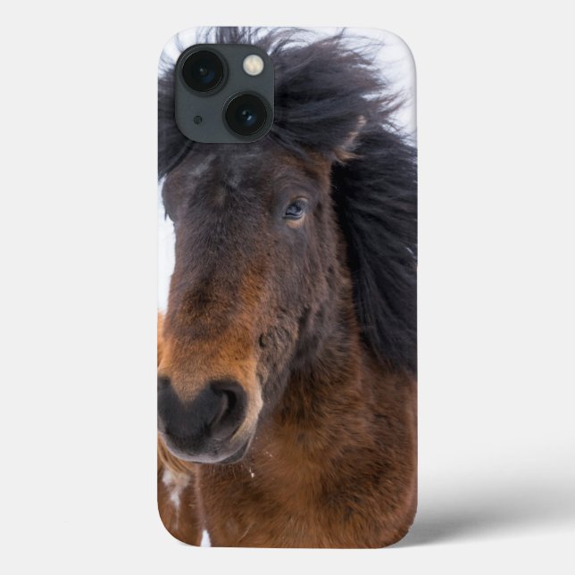 Lustiges isländisches Pferdeporträt Case-Mate iPhone Hülle (Rückseite)