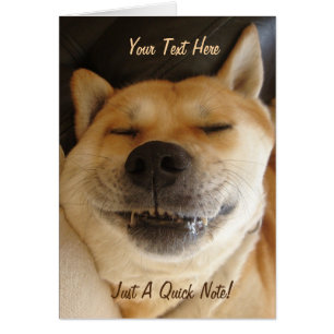 lustiges japanisches akita mit goofy-lächelndem Fo