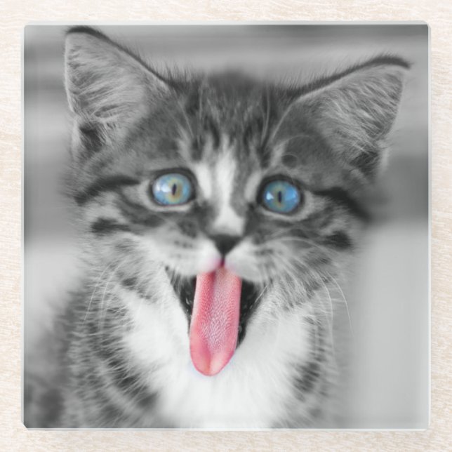 Lustiges Kätzchen Glasuntersetzer (Vorderseite)