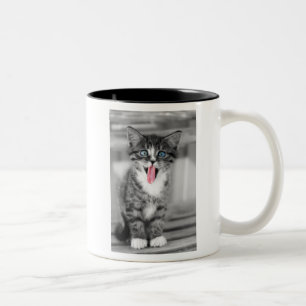 Lustiges Kätzchen Zweifarbige Tasse