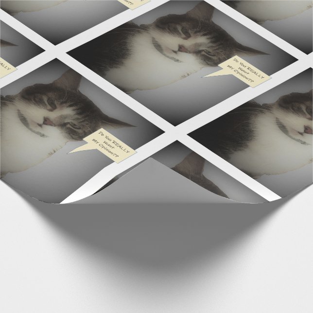 Lustiges Katzen-Foto Geschenkpapier (Ecke)