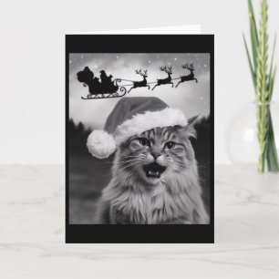 Lustiges Katzen-Selfie mit Weihnachtsmann Weihnach Karte