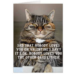 Lustiges Katzen-Valentinstag-Meme